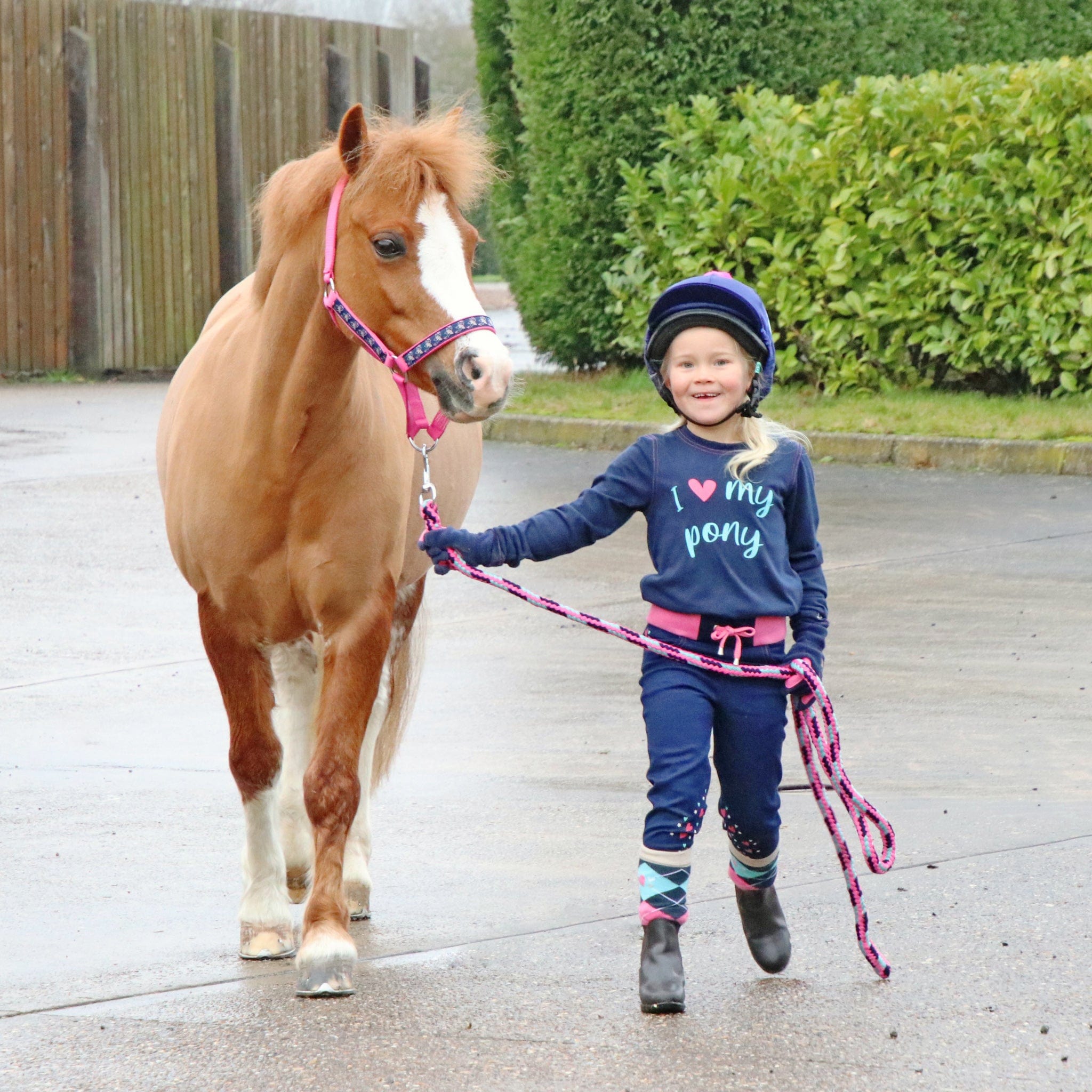 My little cheap pony riding horse