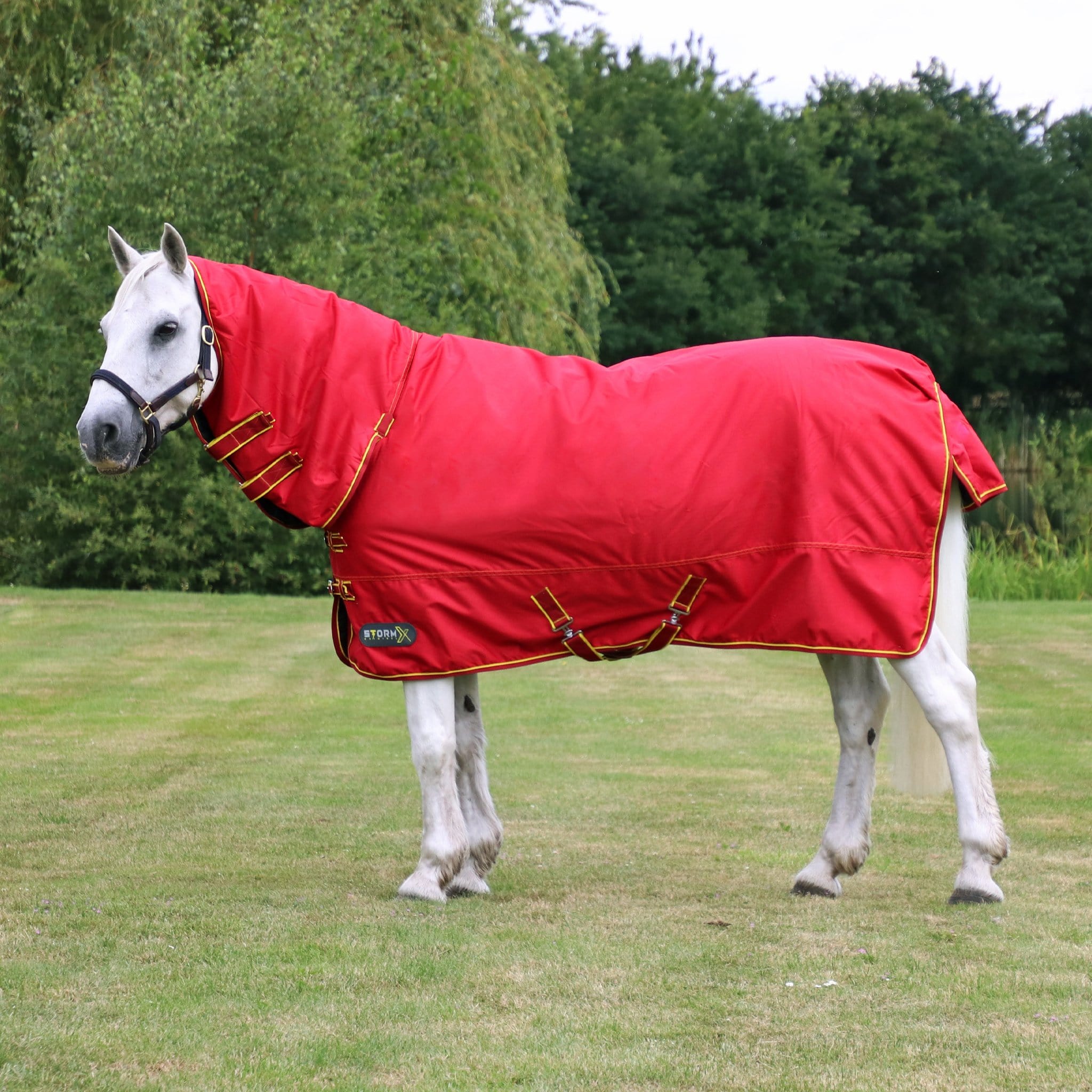 Winter deals horse rugs