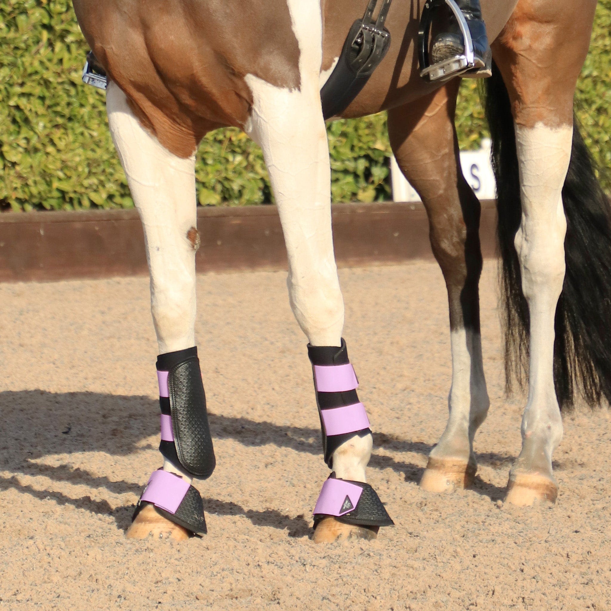 Over Reach Boots EQUUS