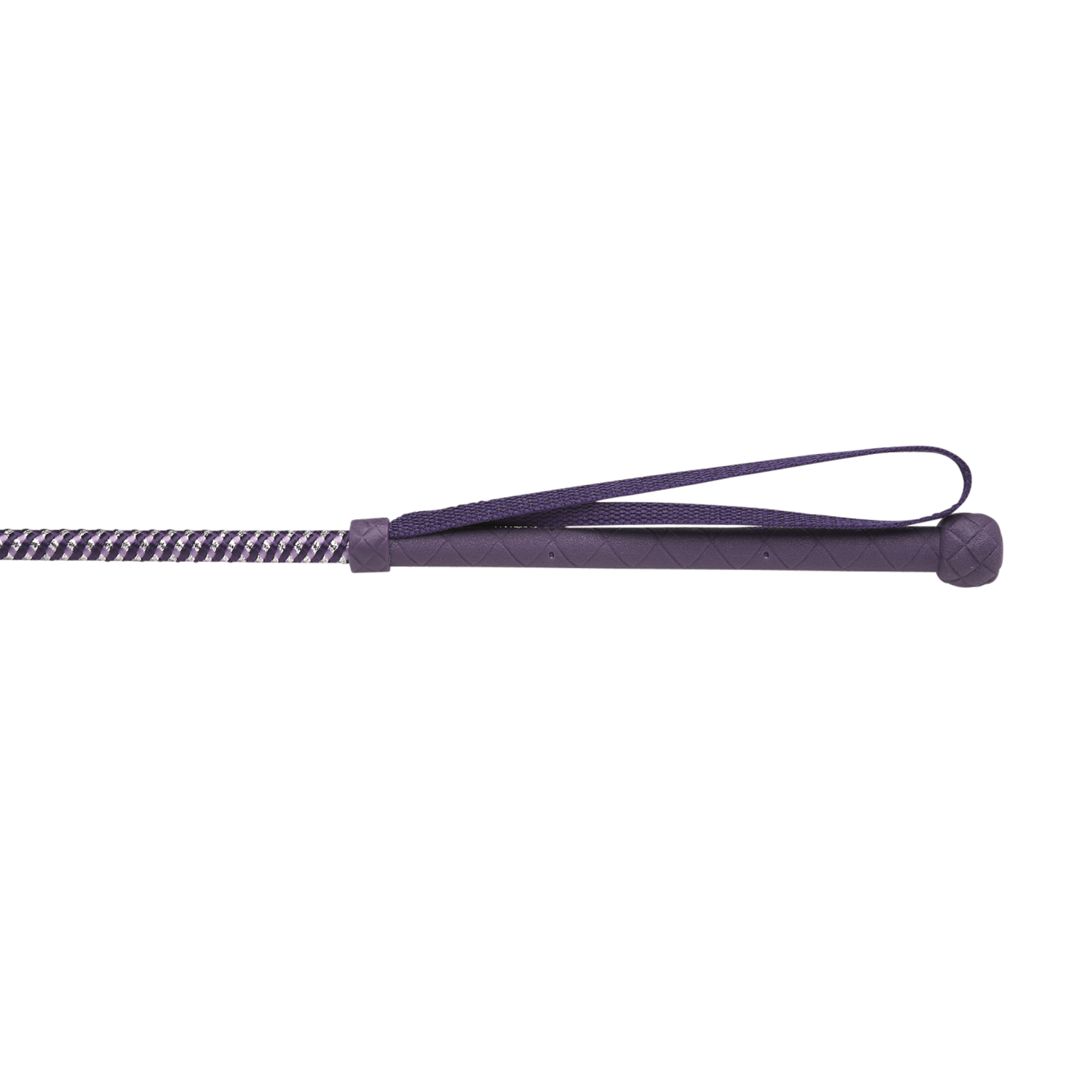 Hyschool Metallic Riding Whip - Purple and Lilac