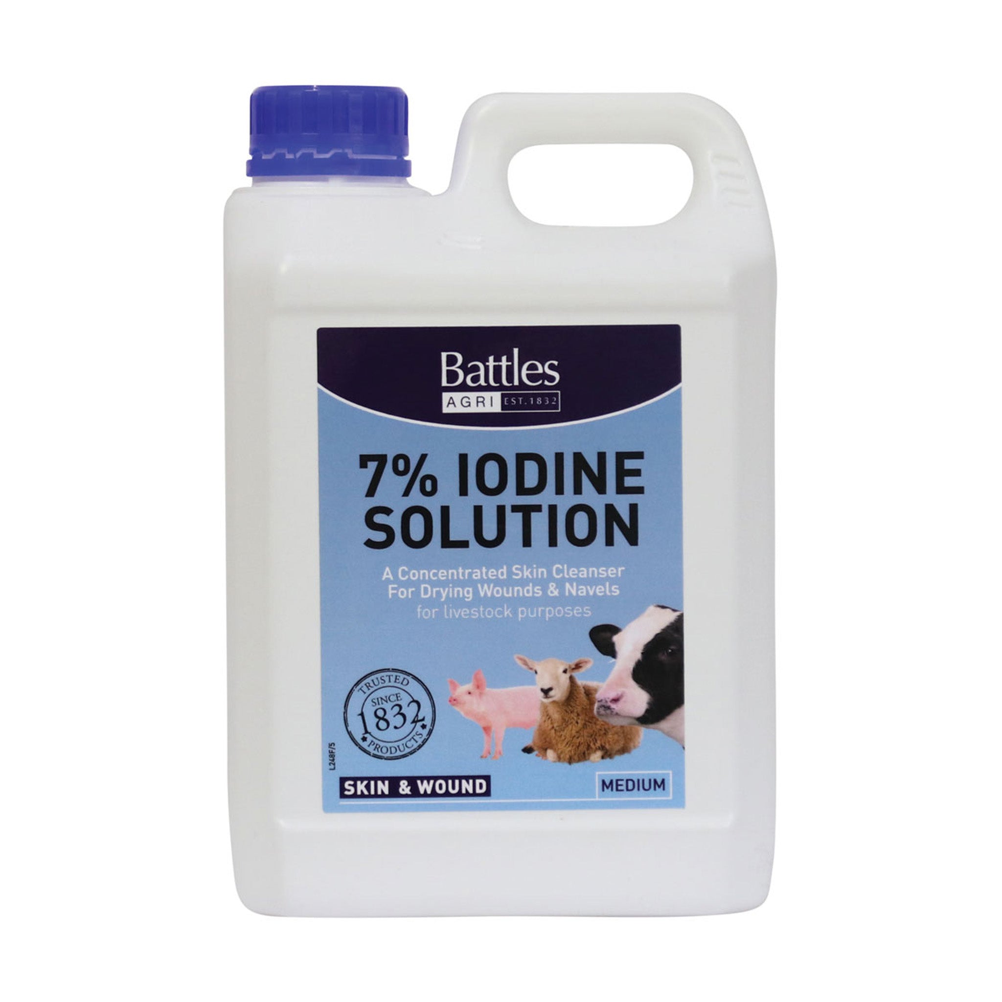 Battles Strong Iodine Solution - 2L