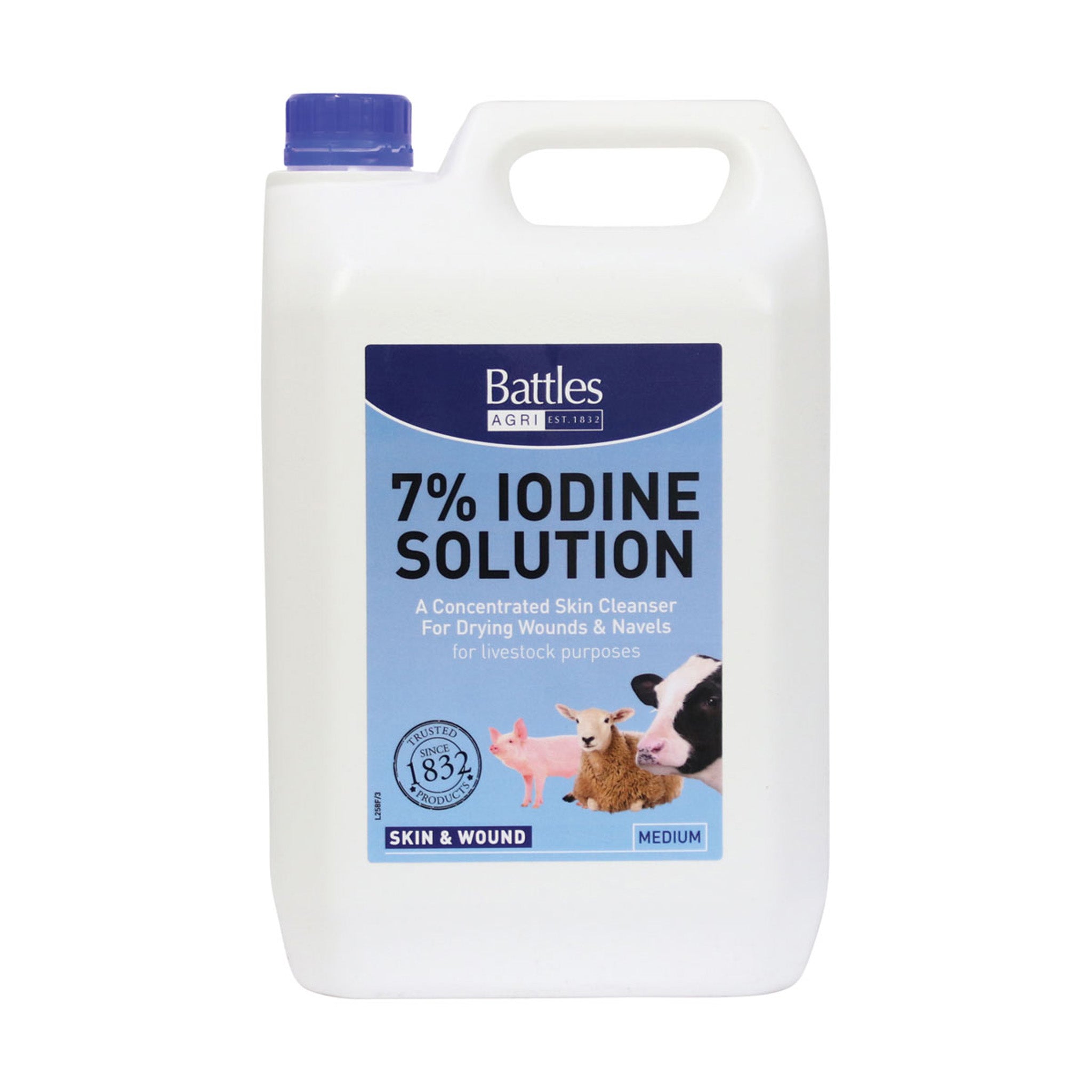 Battles Strong Iodine Solution - 5L