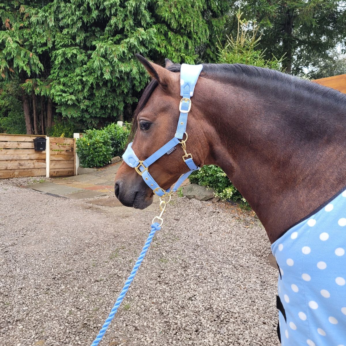 Supreme Products Dotty Fleece Headcollar and Lead Rope