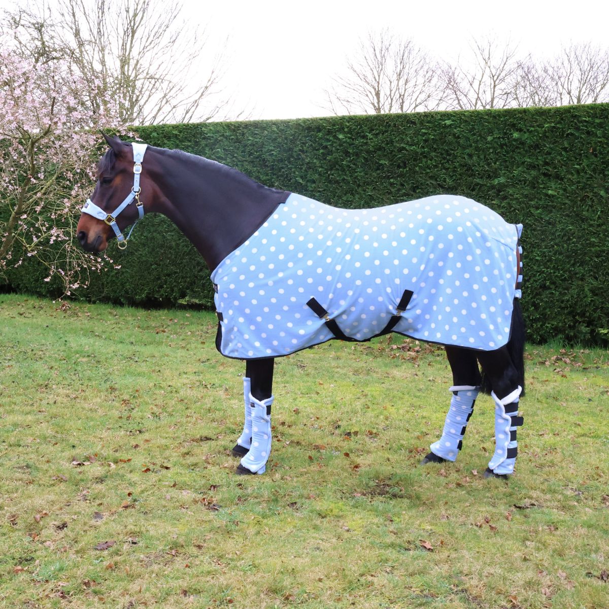 Supreme Products Dotty Fleece Rug