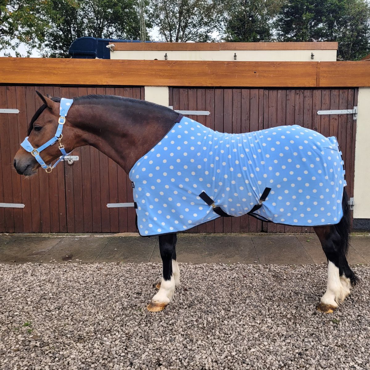 Supreme Products Dotty Fleece Rug