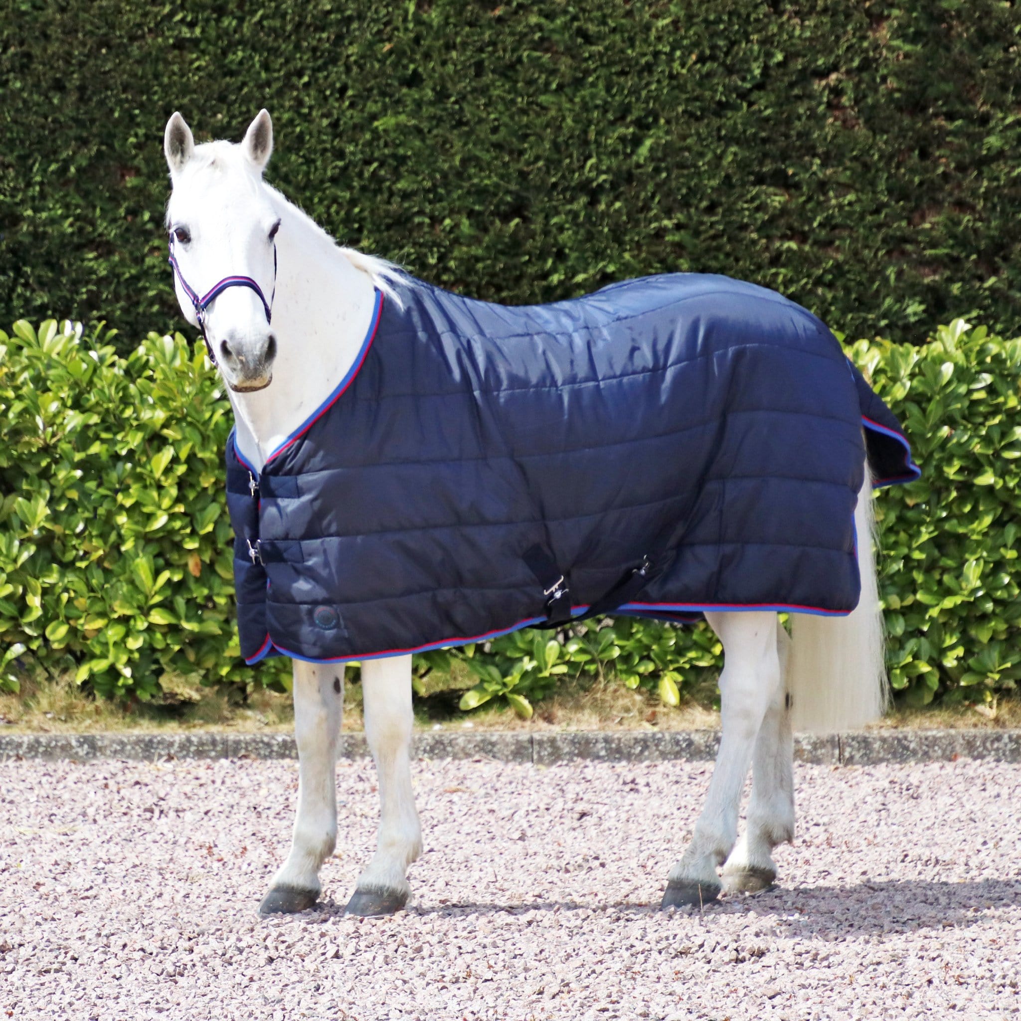 Hy Equestrian Signature Mediumweight 250g Standard Stable Rug 27955