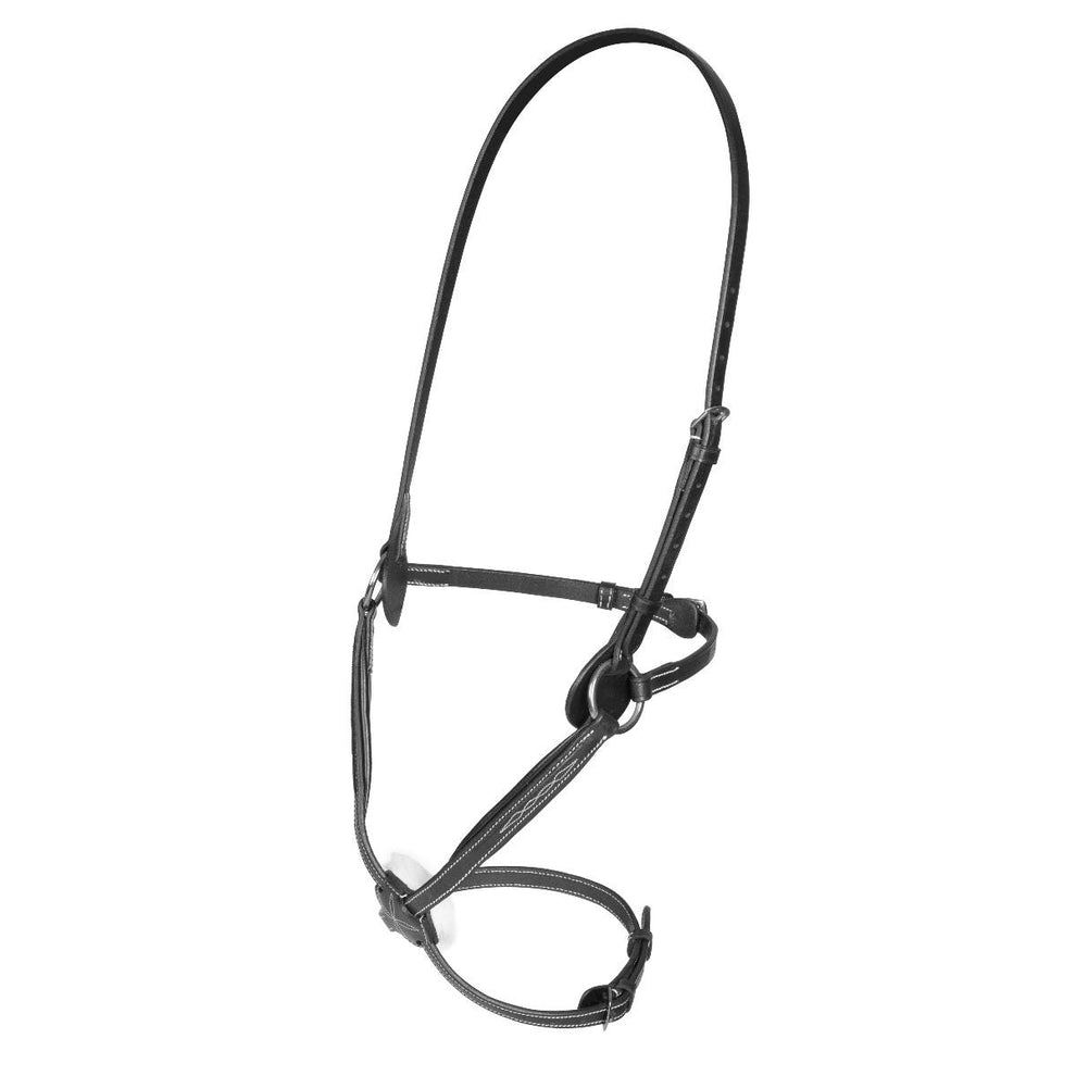Salisbury Brackley Noseband