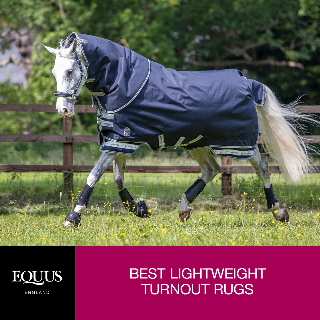 Best Lightweight Turnout Rugs