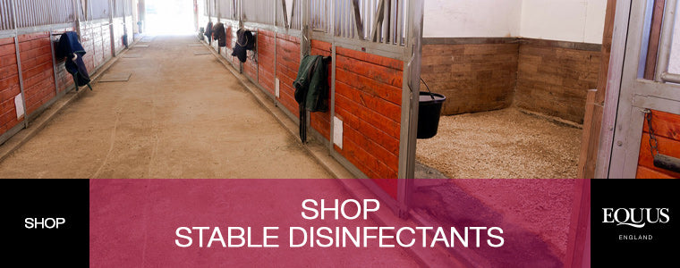 Shop Stable Disinfectants at EQUUS