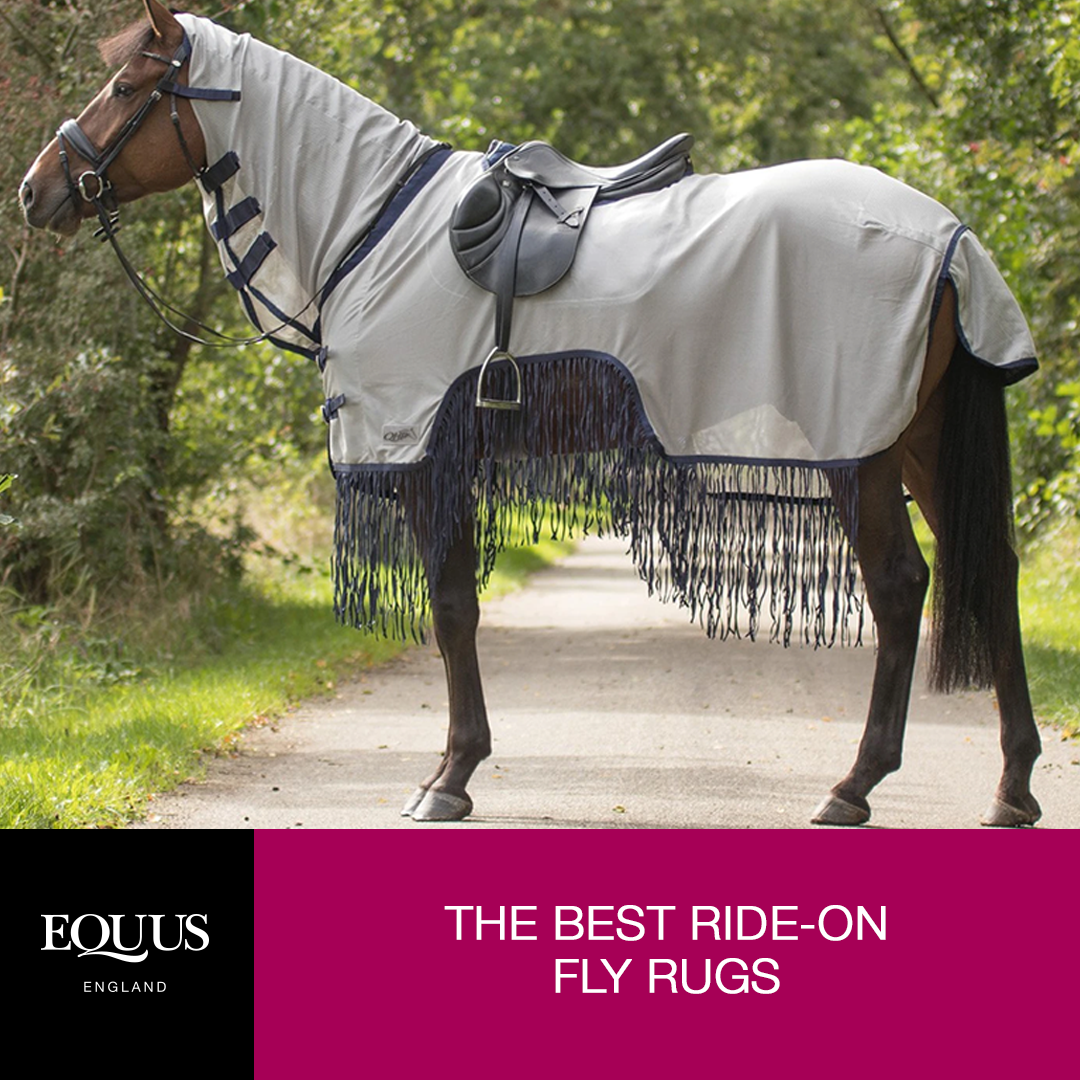 What's the best Ride On Fly Rug for your horse?