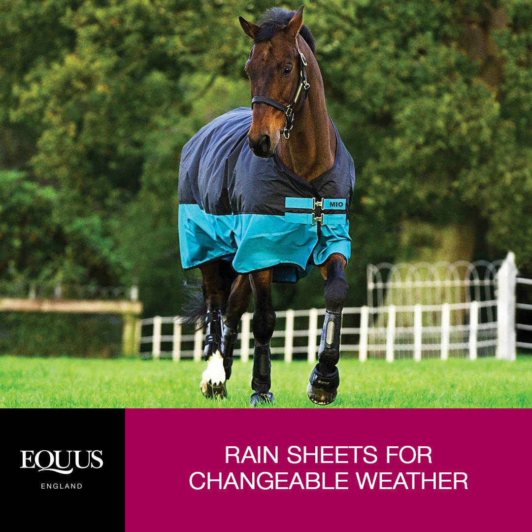 Horse rain sheets for changeable weather