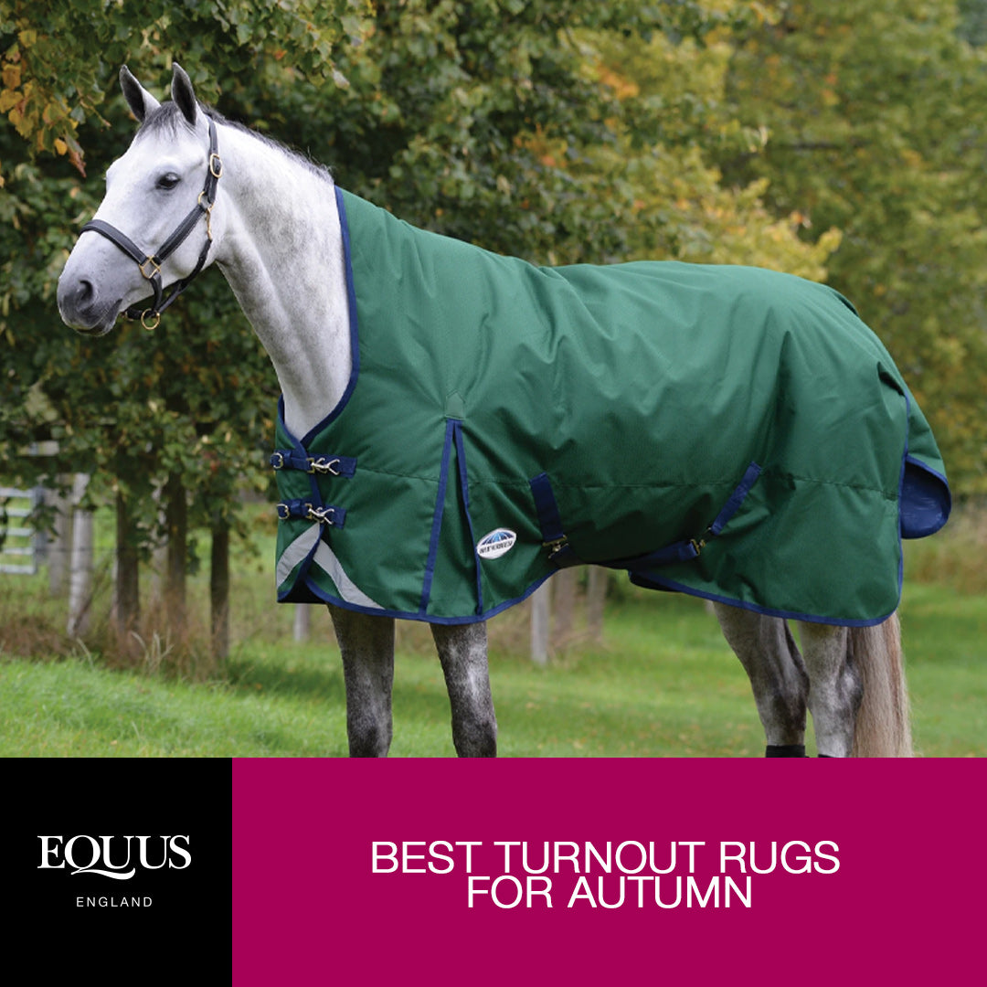 Best Horse Rugs for Autumn
