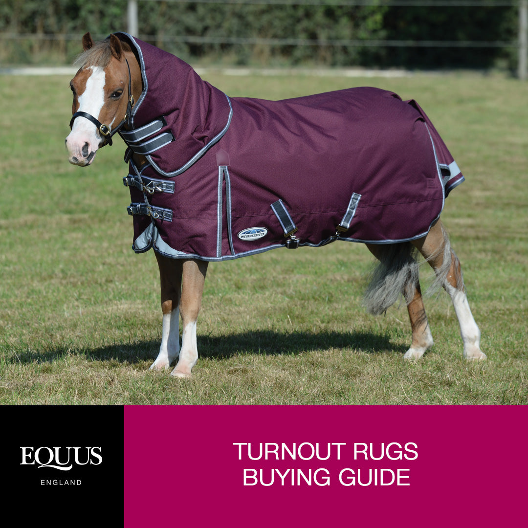 Turnout Rugs Buying Guide