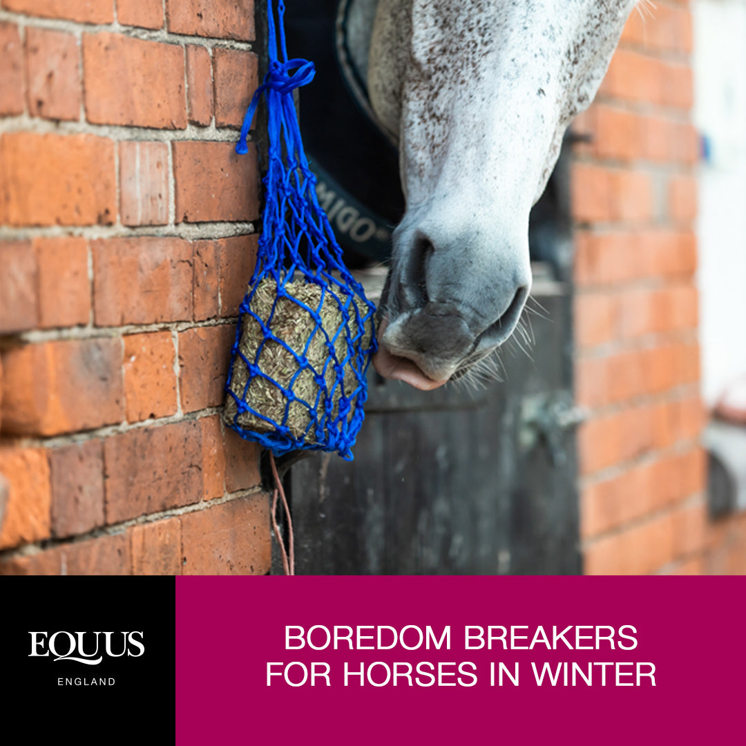 Boredom Breakers for Horses