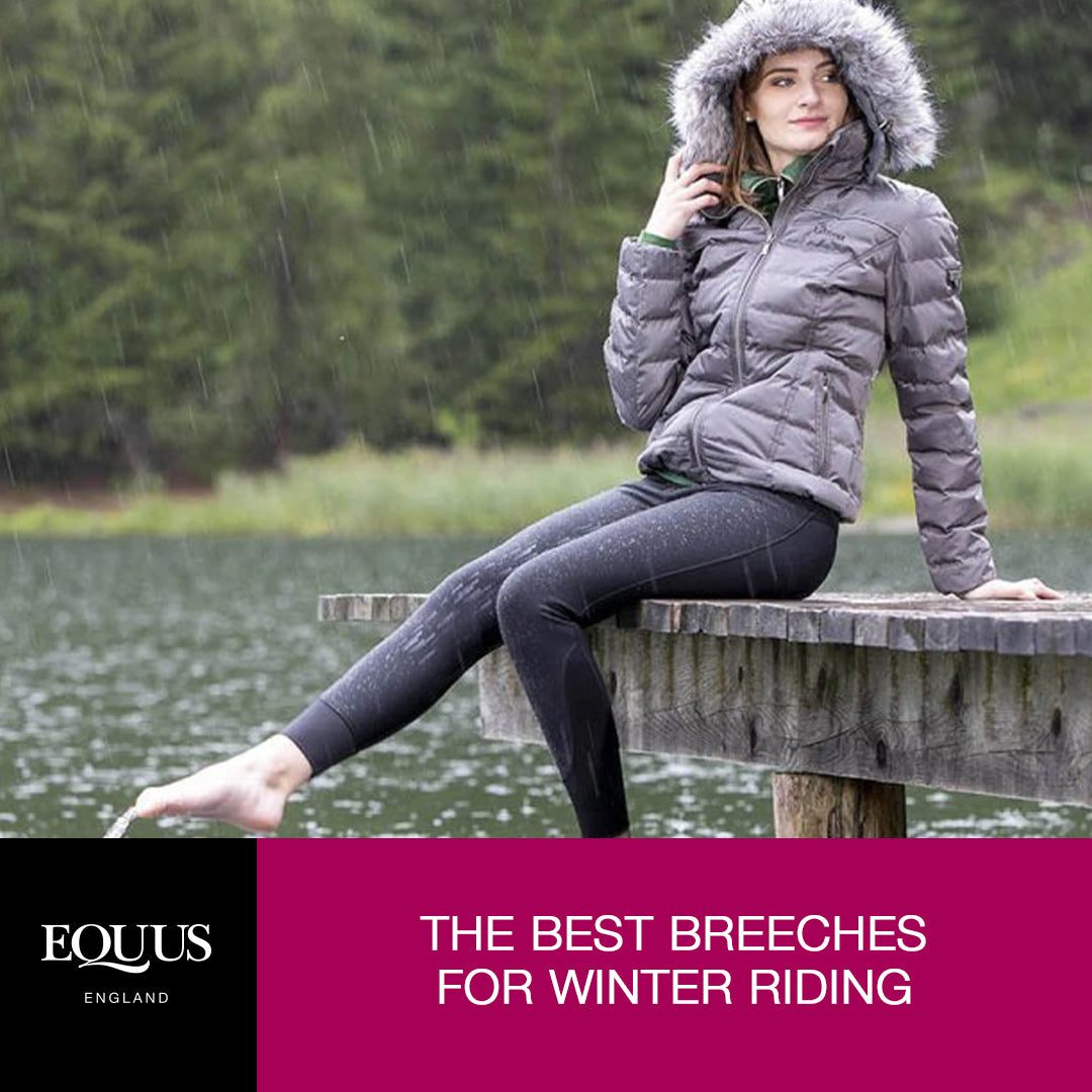 Best winter shop riding tights