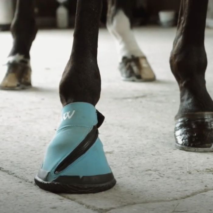 {"default":"hoof boots"}