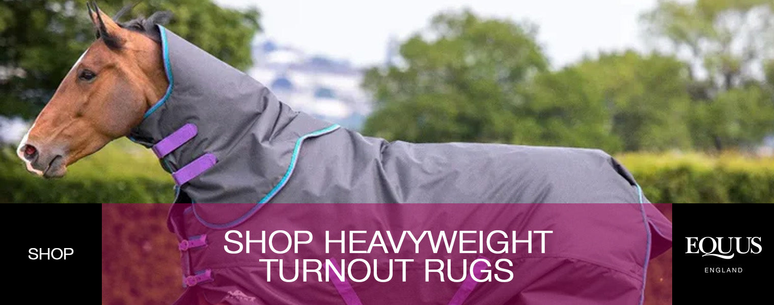 Heavyweight Turnout Rugs