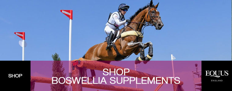 Boswellia Shop Now
