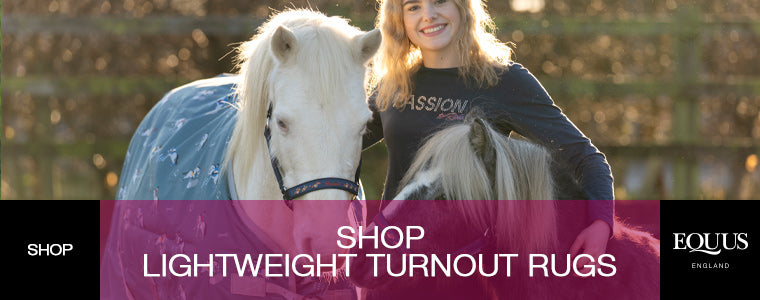 Shop Lightweight Turnout Rugs
