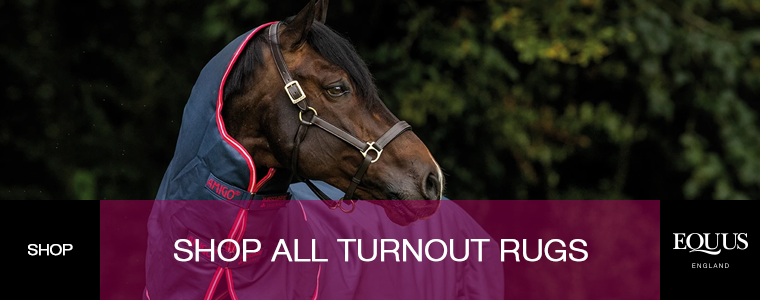 Shop Turnout Rugs