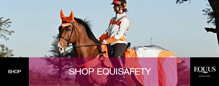 Shop Equisafety