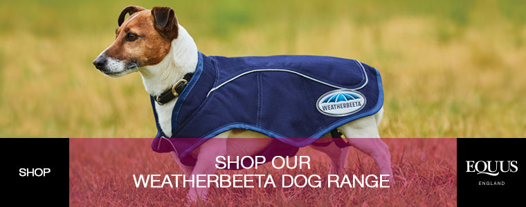 WeatherBeeta Dog Coat Size Guide