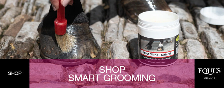 Shop Smart Grooming Products at EQUUS