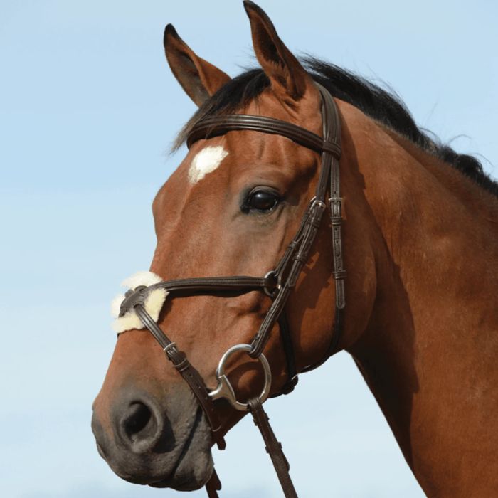 {"default":"Bridles"}