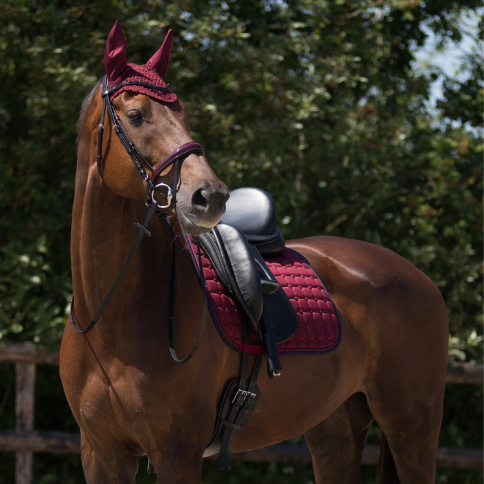 {"default":"Bridles Home"}