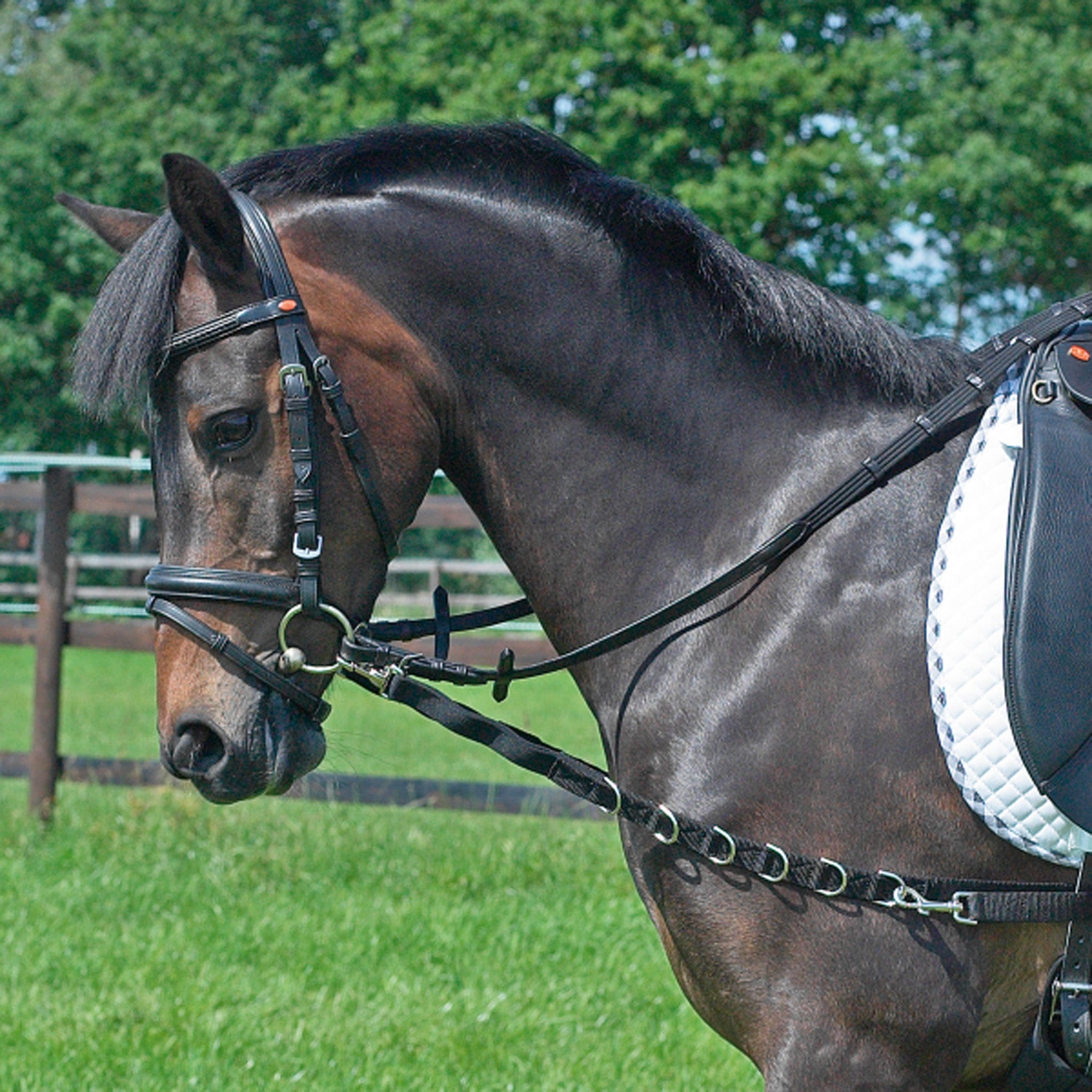 BUSSE Sac à Bottes RIO PLUS PRO - Boutique Equus Vitalis