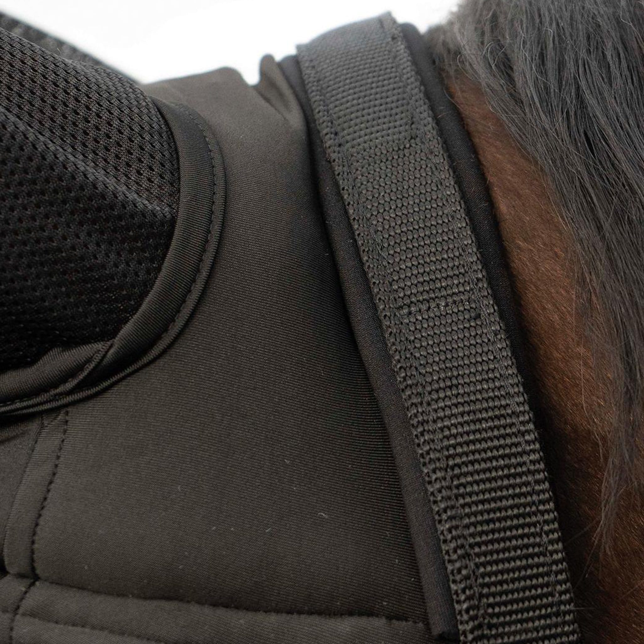 Busse Fast Headcollar With Fly Mask 633035 Black Poll Protection Padding