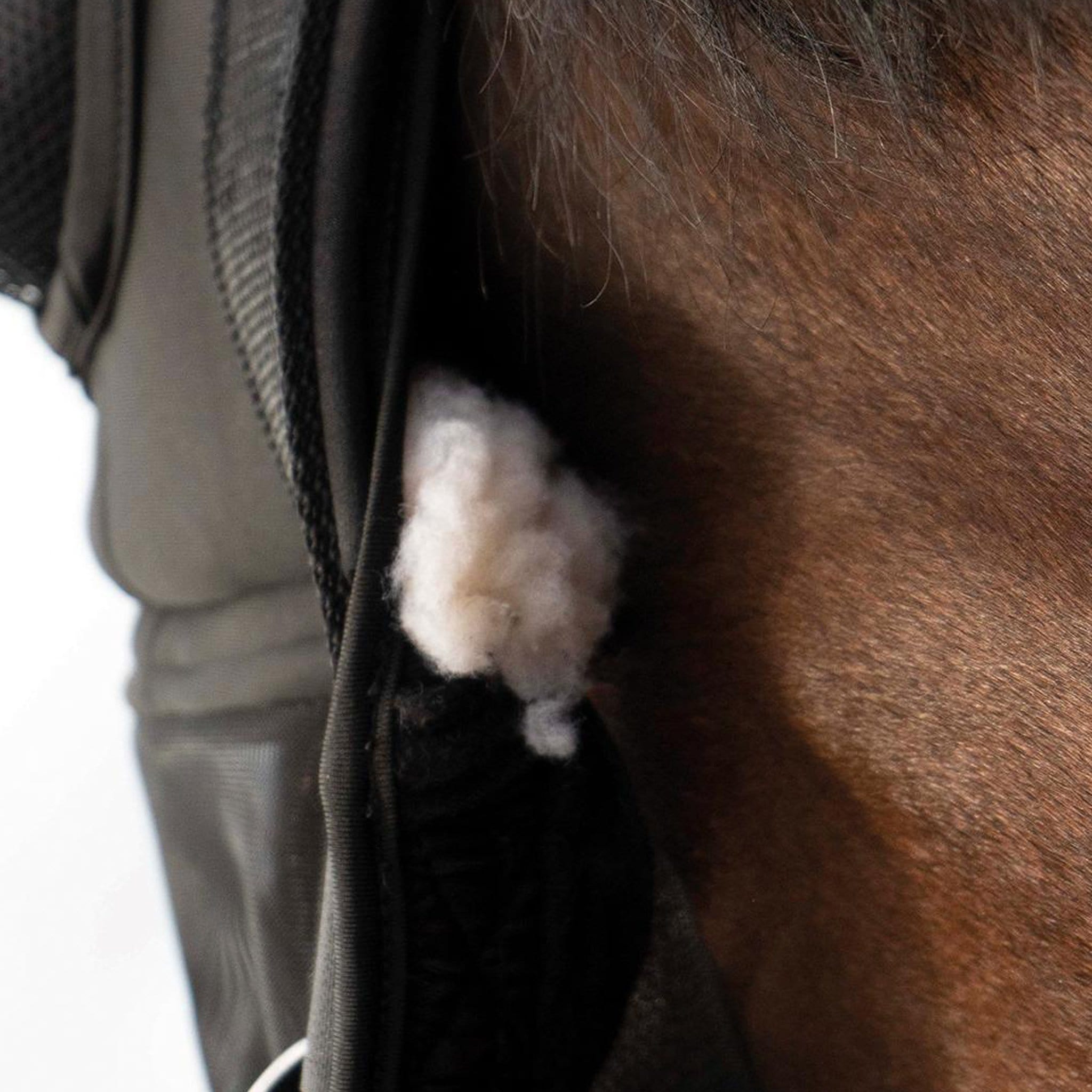 Busse Fast Headcollar With Fly Mask 633035 Black Faux Fur Forehead Protection