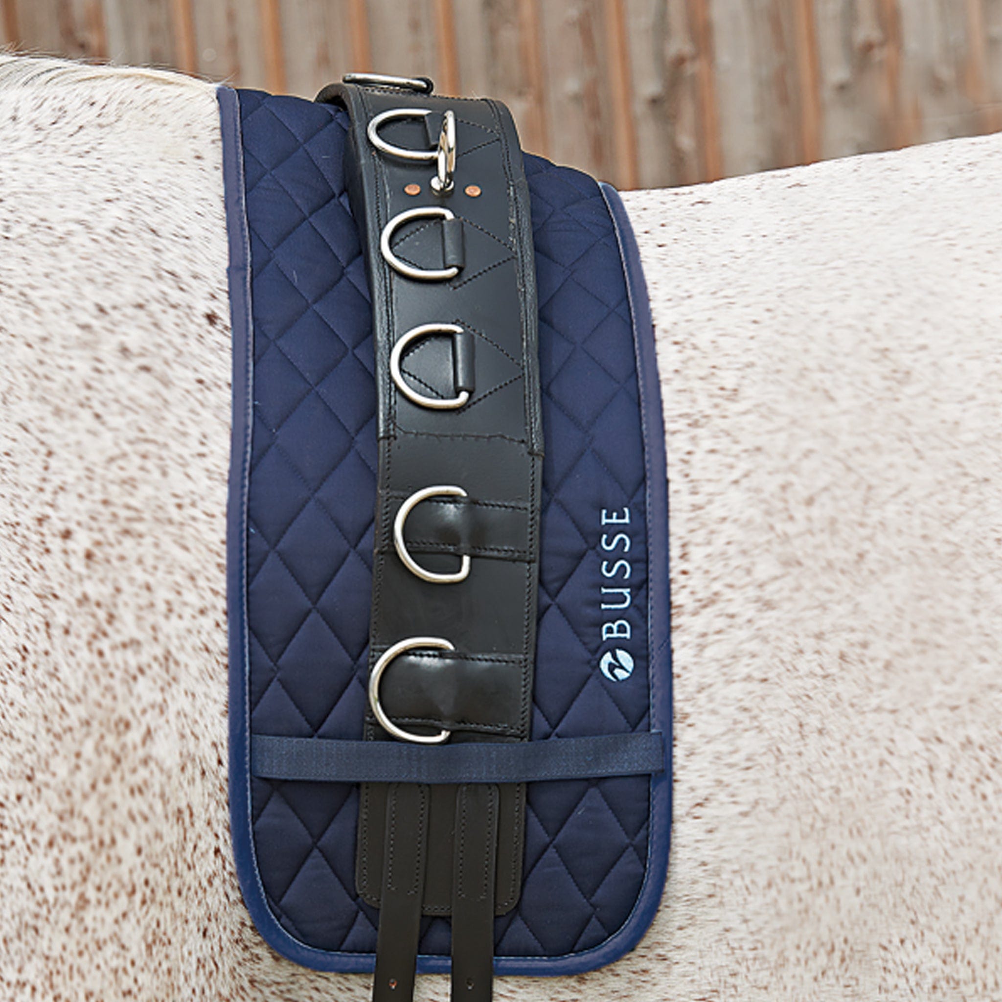 Busse Quilted Lunging Pad Free Uk Delivery Available At Equus