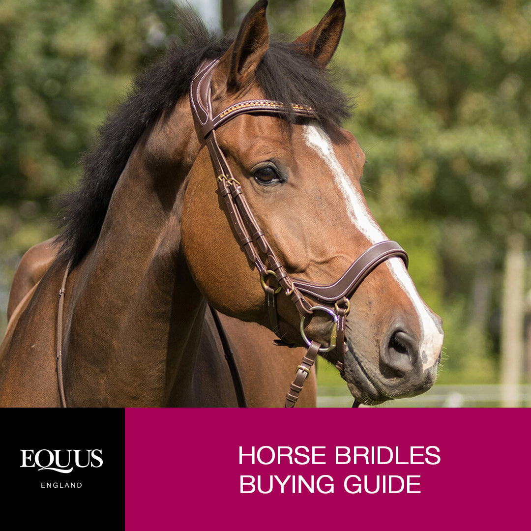 Bridles Buying Guide