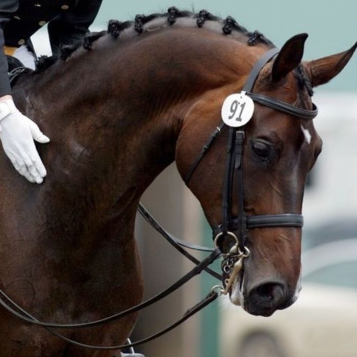 {"default":"calming"}