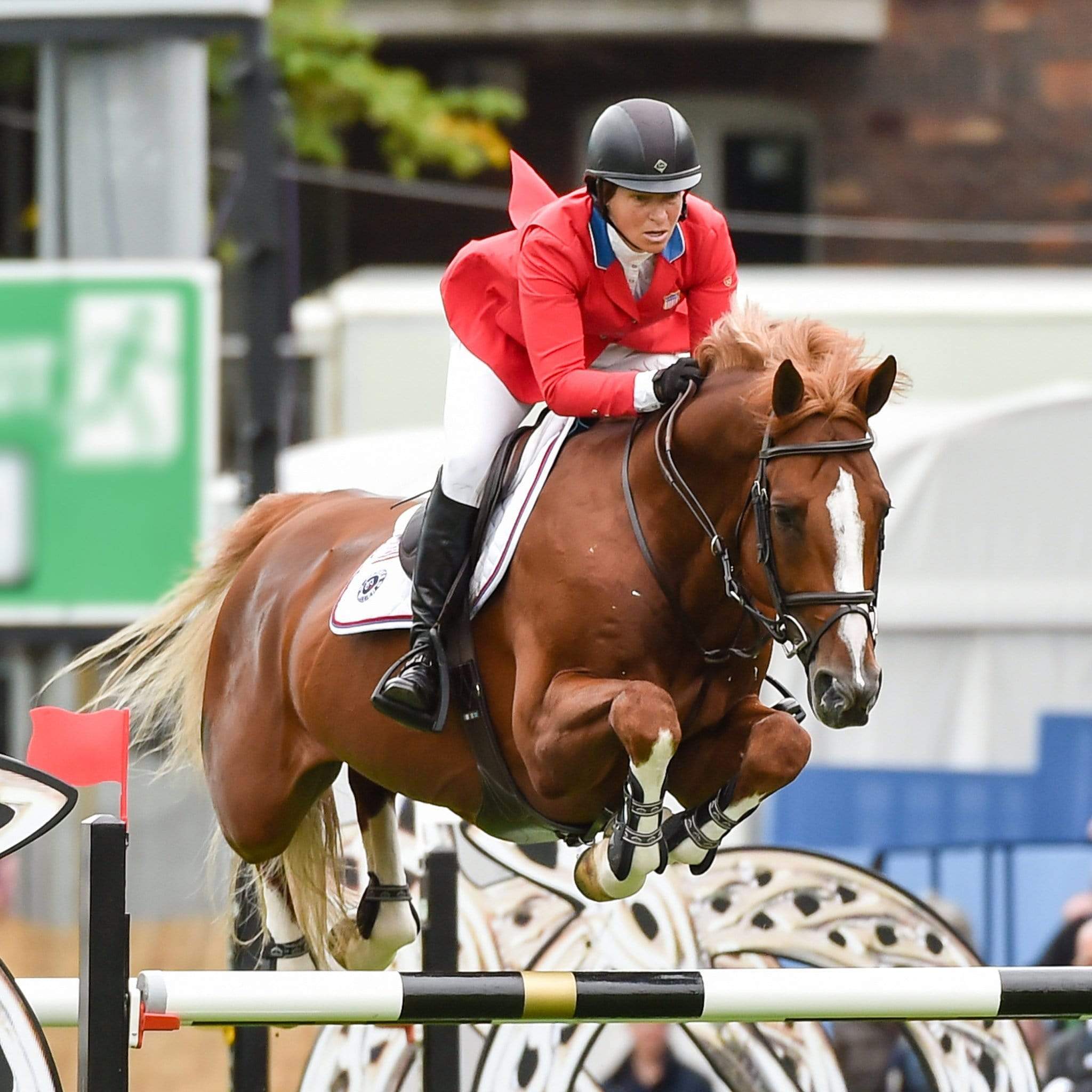 Charles Owen Ayr8 Plus Leather Look Riding Hat