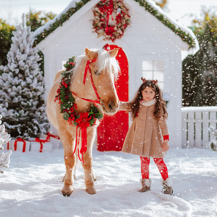 {"default":"Children's Christmas Collection"}