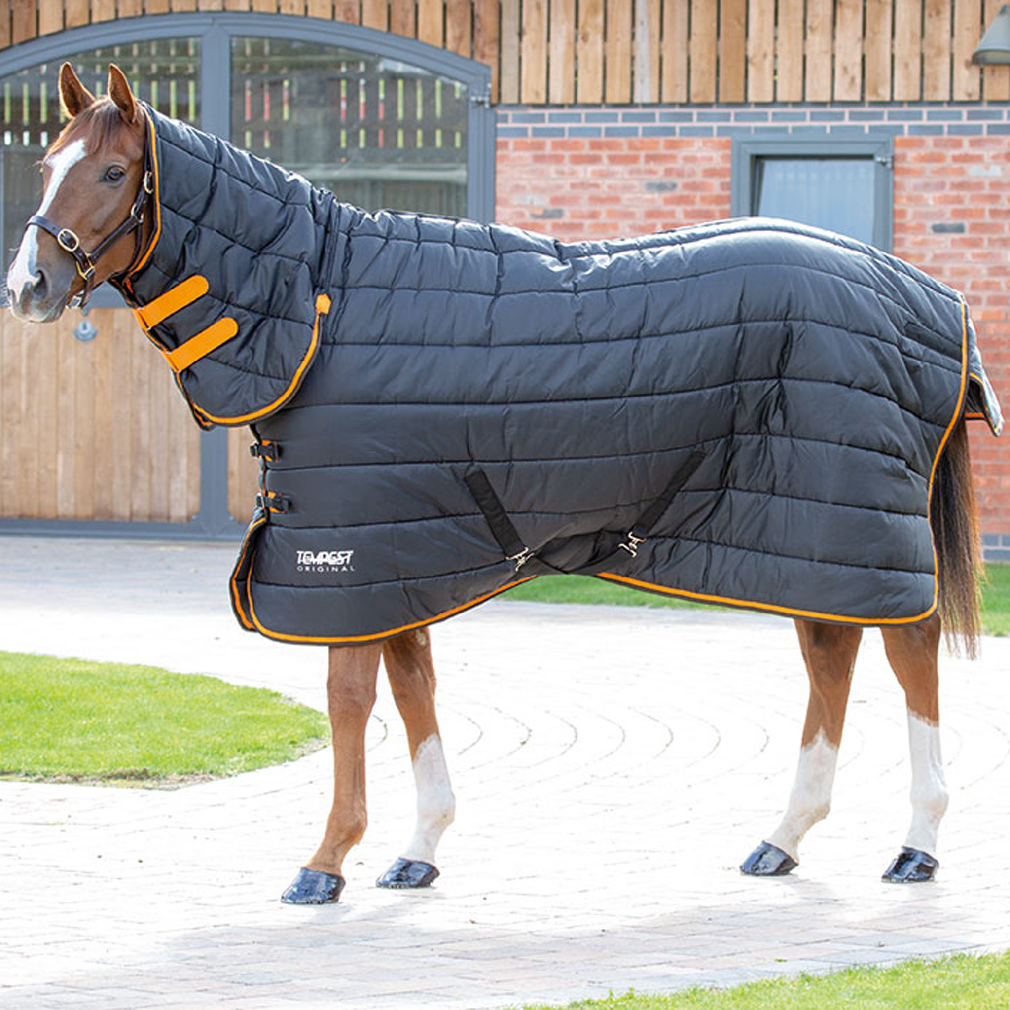 {"default":"Combo Neck Stable Rugs"}