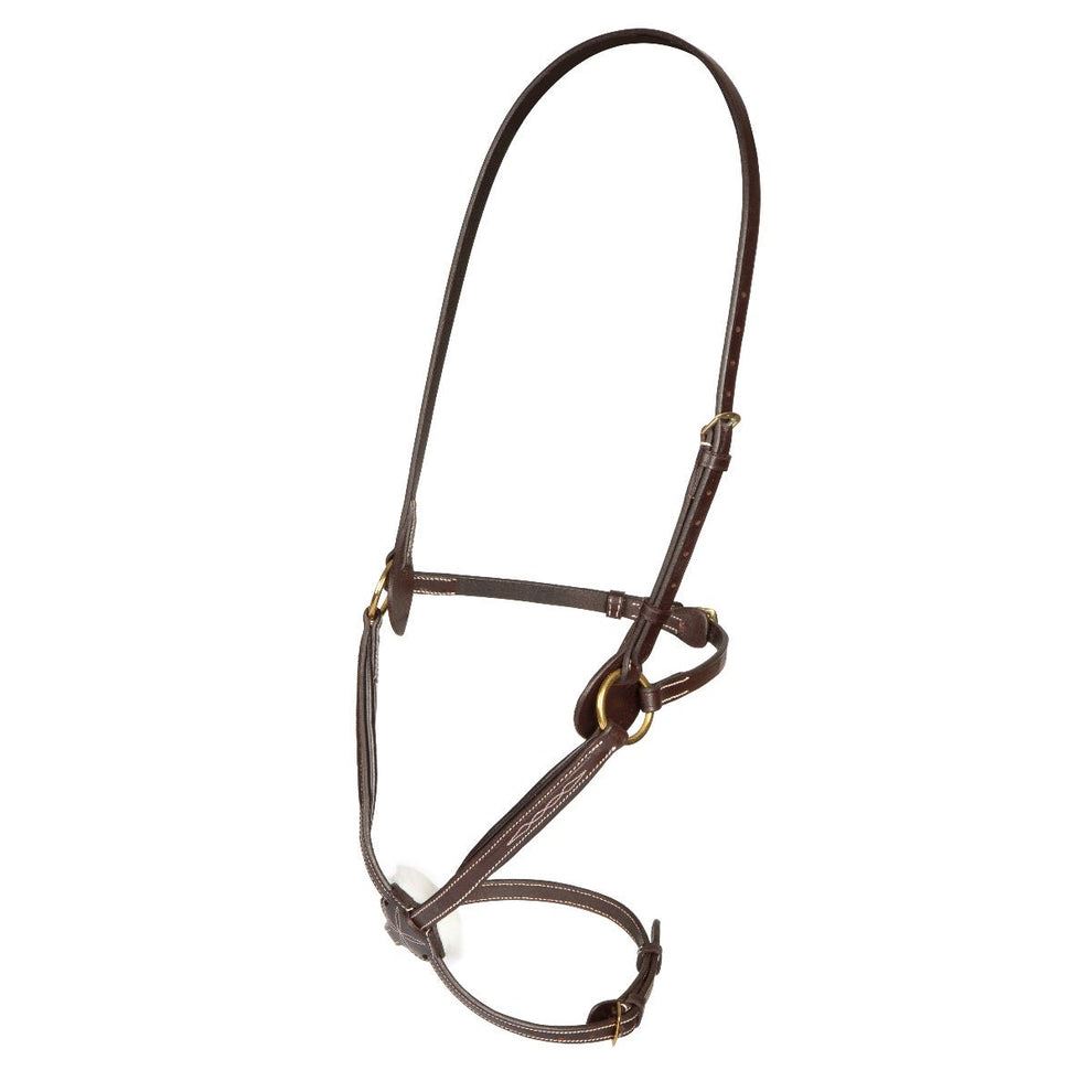 Salisbury Brackley Noseband