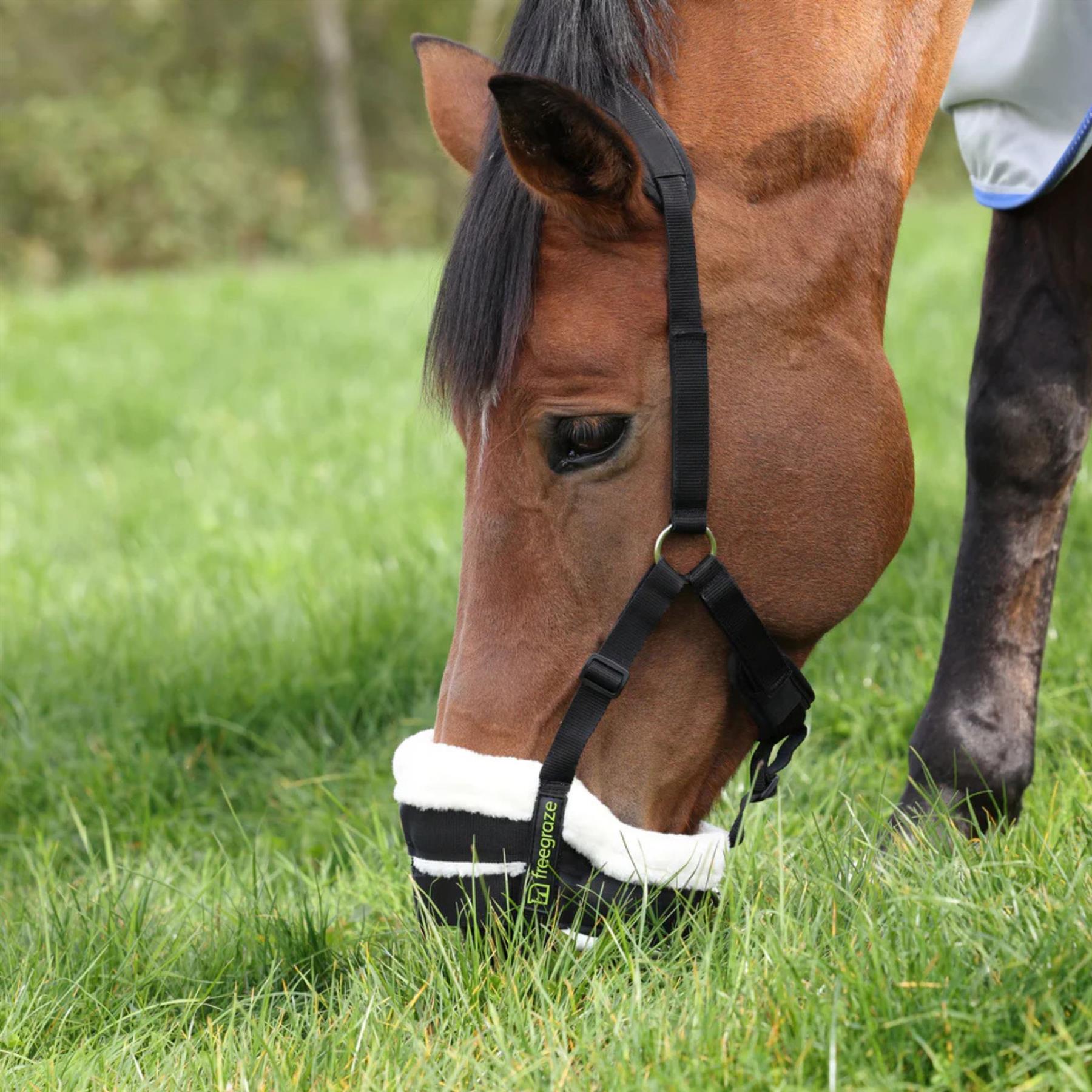 Shires FreeGraze Deluxe AirFlow Grazing Muzzle