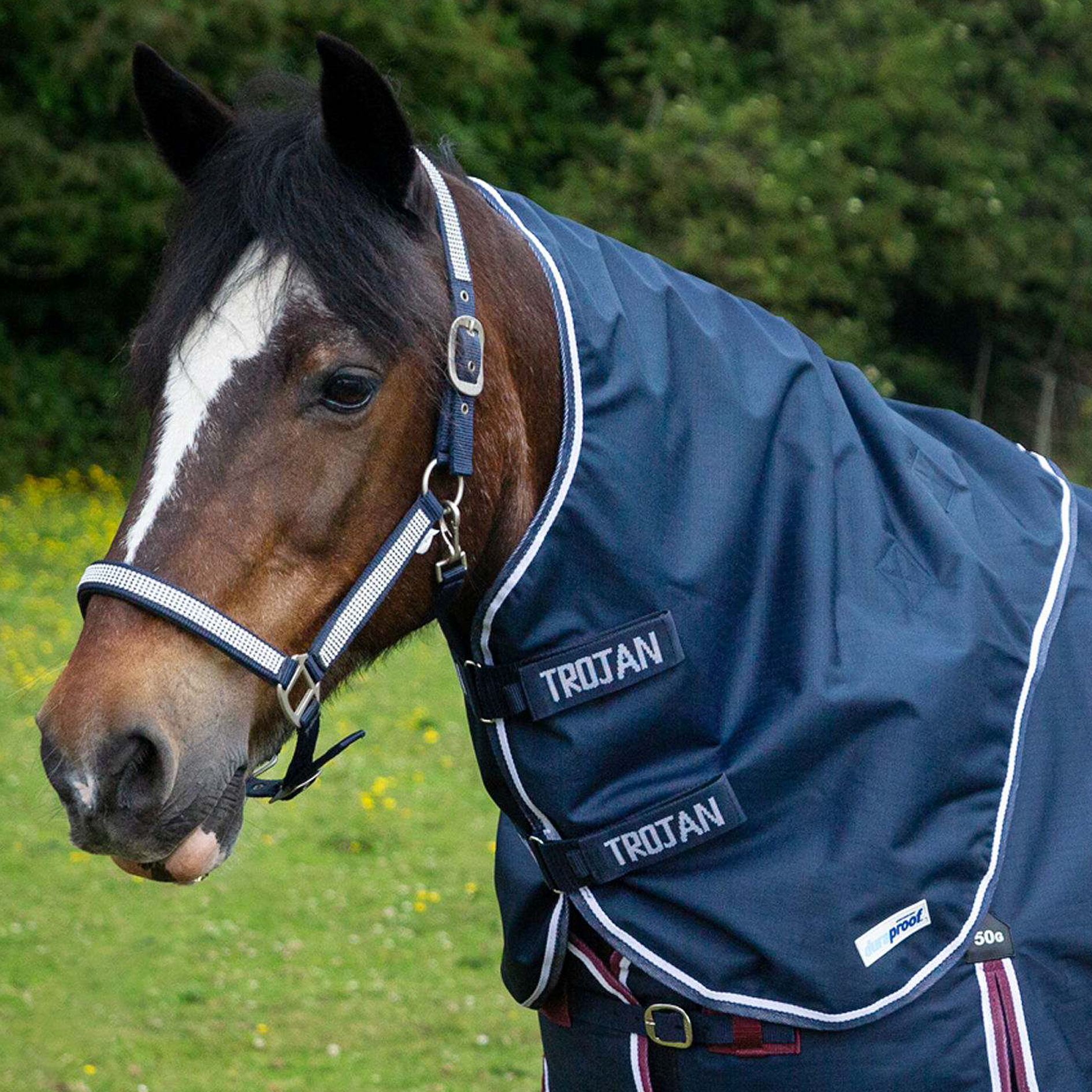 TROJAN Duraproof Lightweight Neck Cover-X Large