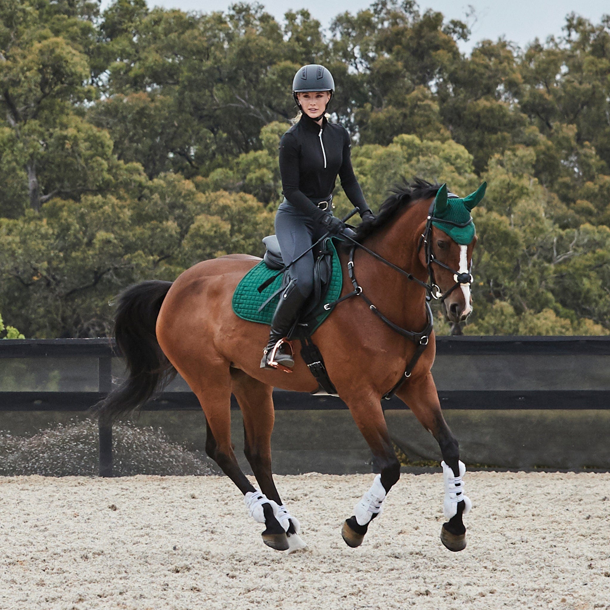 Women s Riding Tops Equestrian Horse Riding Tops EQUUS