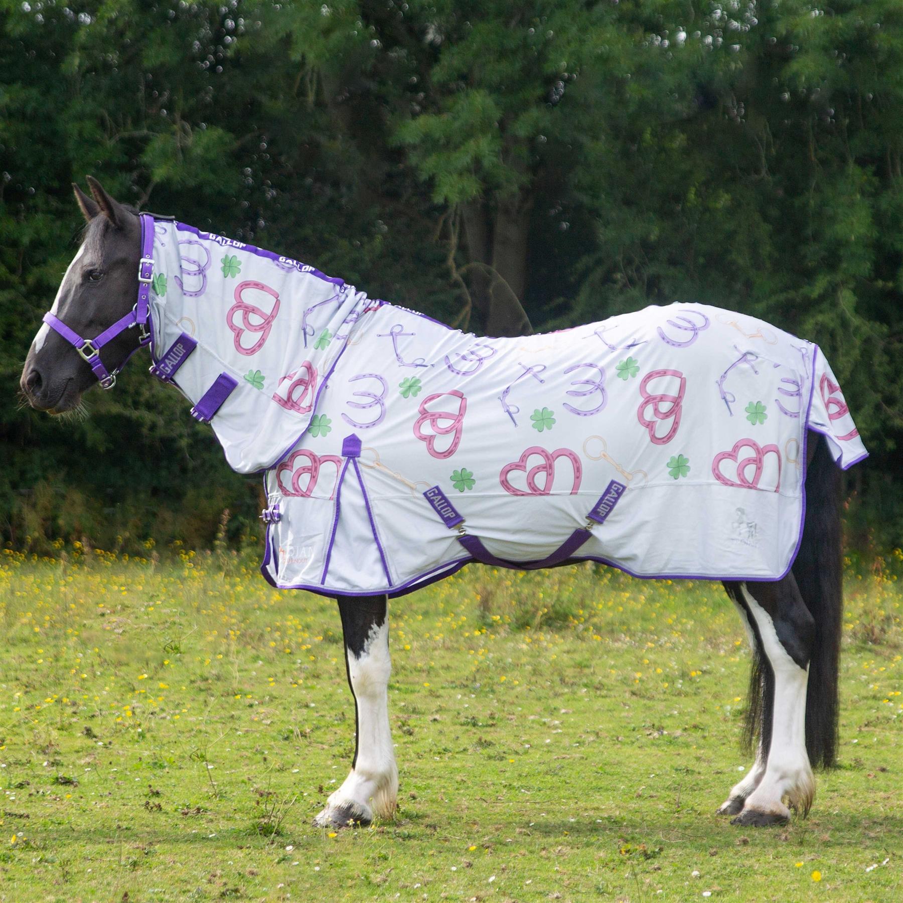 Gallop Bits of Luck Combo Fly Rug
