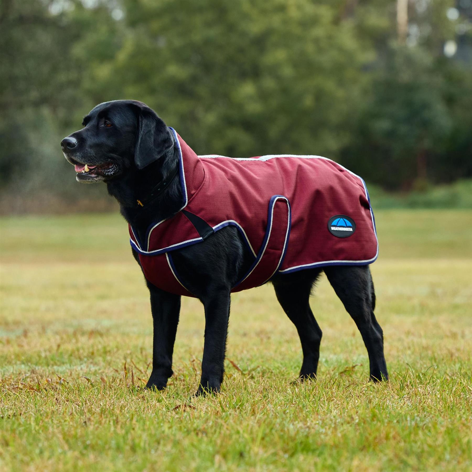 Weatherbeeta Comfitec Premier Deluxe Waterproof Dog Coat