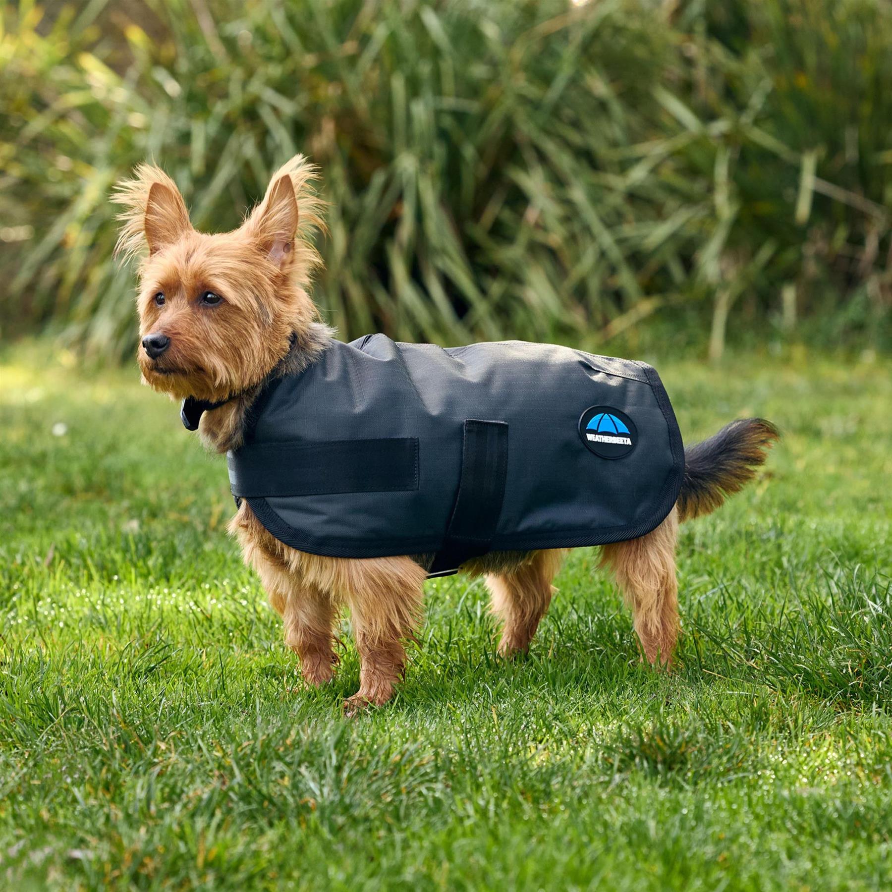 Weatherbeeta Comfitec Classic Waterproof Dog Coat
