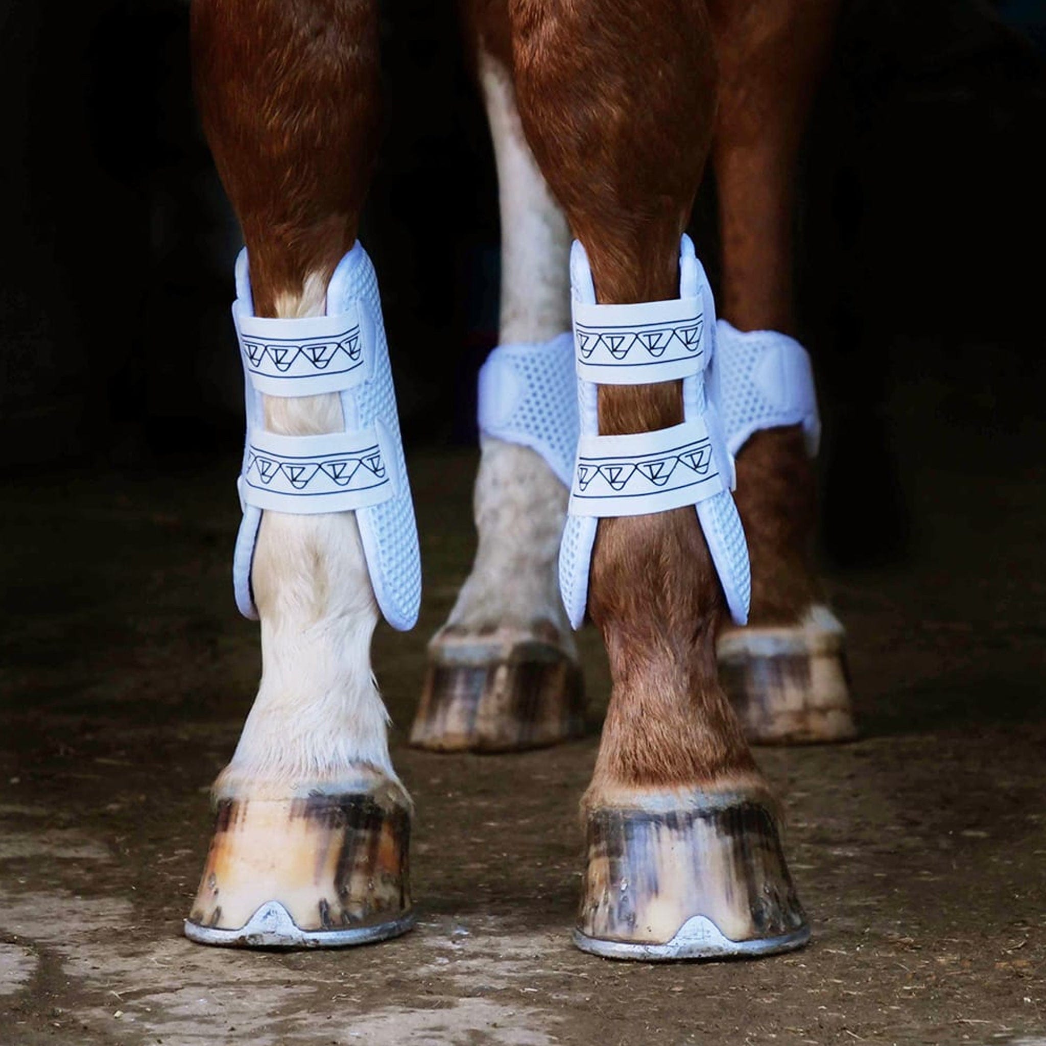 Equilibrium sale tendon boots