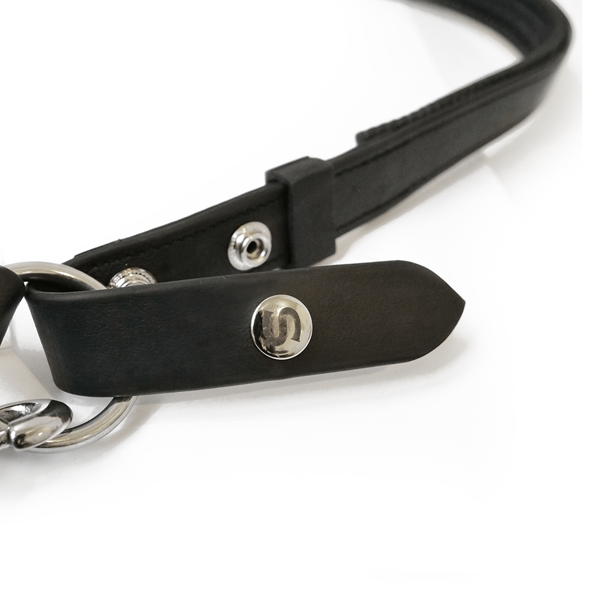 Equilibrium Stellar Head Collar