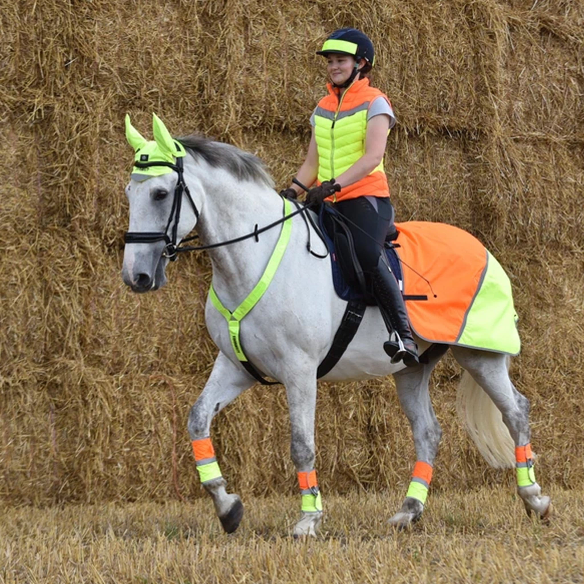 Hi viz clearance horse boots