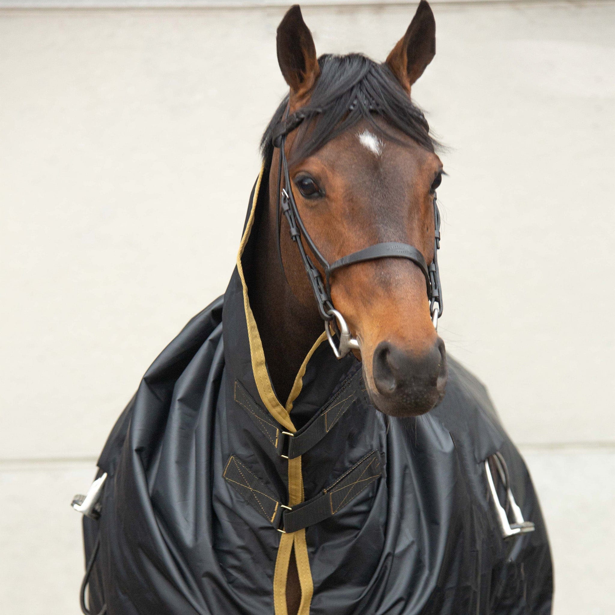 Supreme Products Pro Groom Rain Sheet