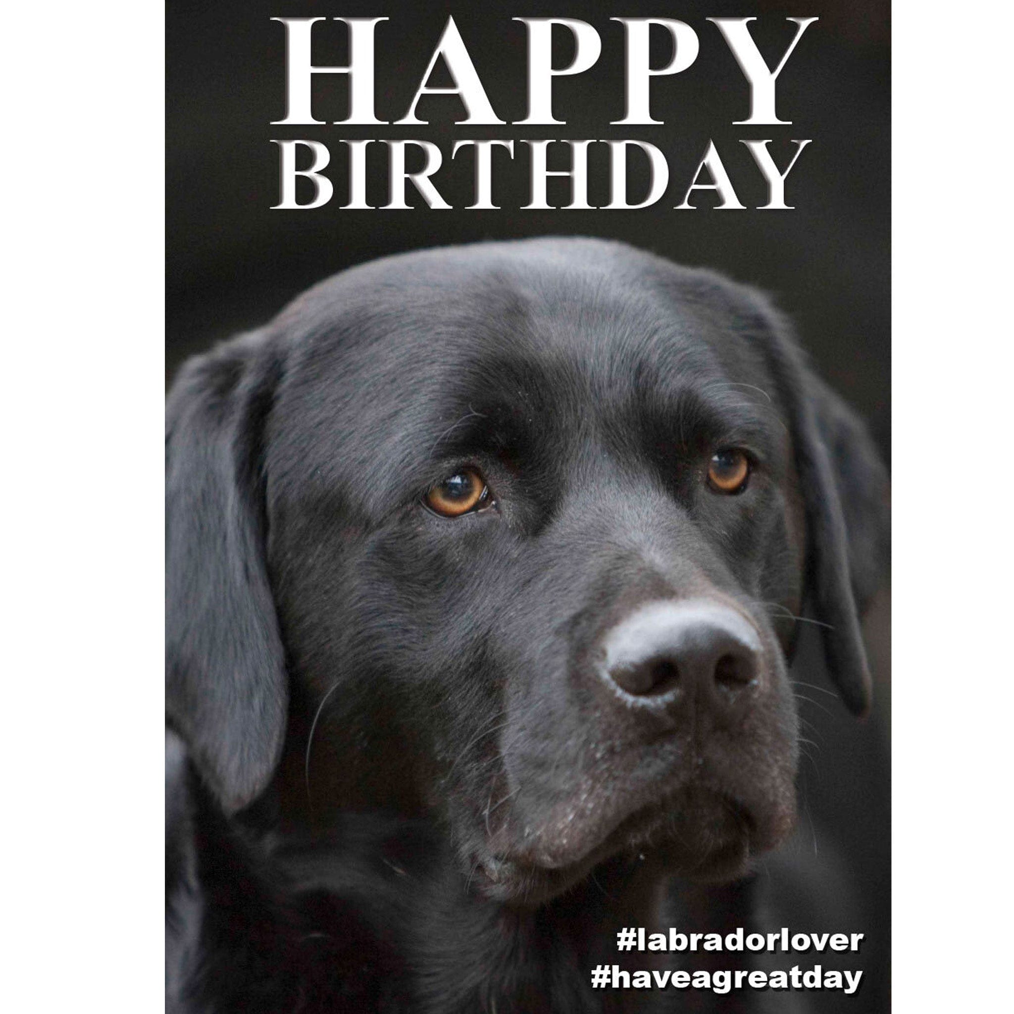 Black Labrador Birthday Card CSPBIRT36